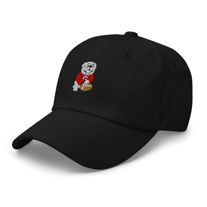 Adult Embroidered "Good Boy" Hat