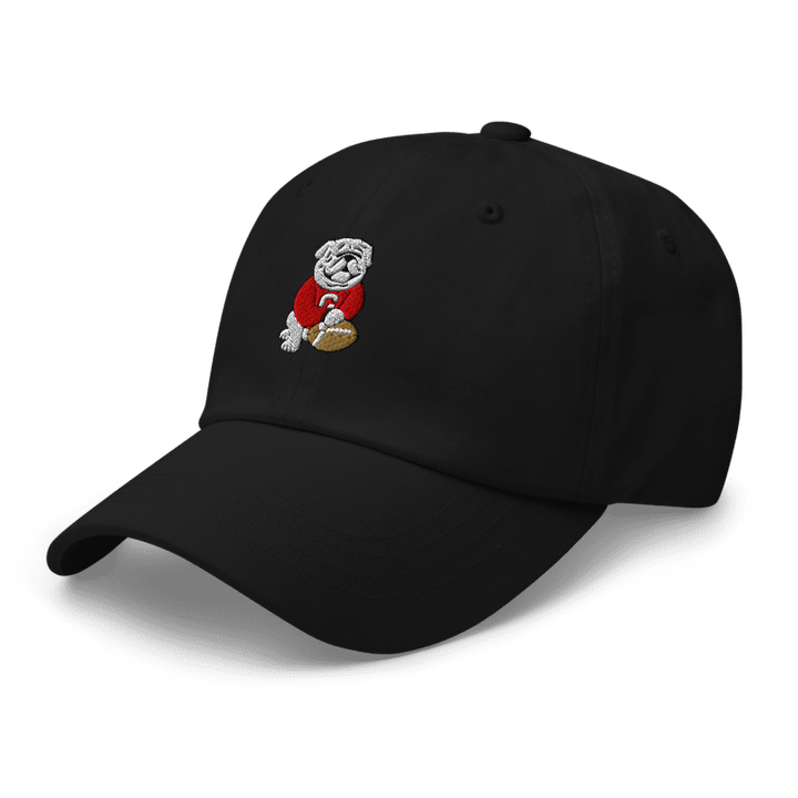Adult Embroidered "Good Boy" Hat