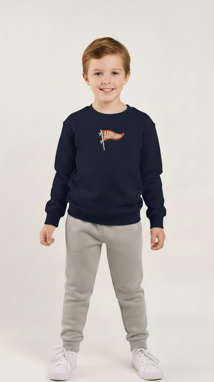 Kids Embroidered "Pennant" Sweatshirt
